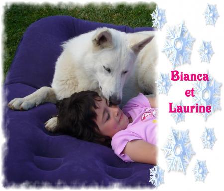 Les inseparrables